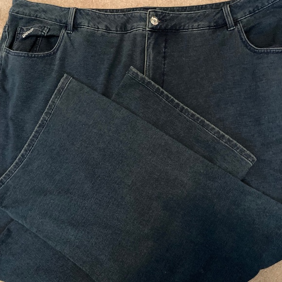 NWT Dream Jeannes by Quacker Factory Jeans size 28W - Picture 1 of 7